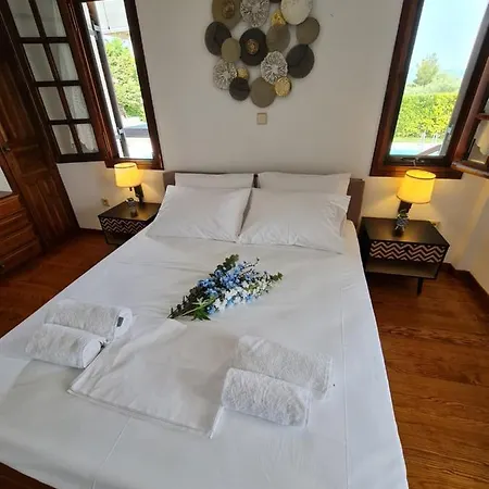 Villa Chryspa Attica *