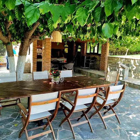 Chryspa Attica Villa